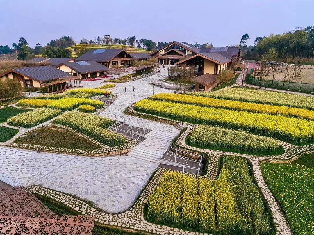 乡村振兴