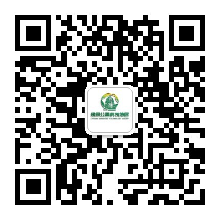 官方小程序